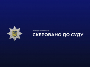 У Запоріжжі викрили викрадачів великою партії гуманітарної допомоги - подробиці 