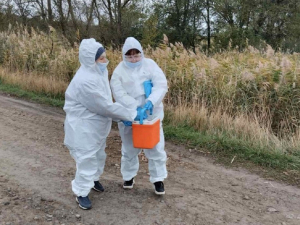 Проти сказу - у Запорізькій області провели осінню вакцинацію тварин