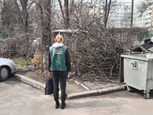 Сміття вище за баки: запоріжці повідомили екологам про стихійне звалище на бульварі Будівельників (фото)