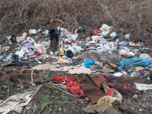 У Запоріжжі поблизу річки виявили сміттєзвалище – міська влада має навести лад