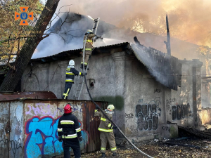 У запорізькому парку згоріло кафе: фото, відео