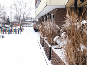 Сильні морози і слизькі дороги - прогноз погоди на вихідні 17 та 18 січня в Запоріжжі