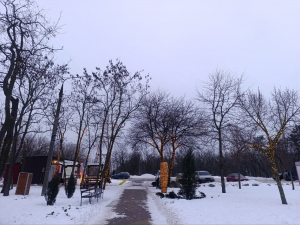 Морози до -15 та ожеледиця: якою буде погода в Запоріжжі найближчими днями