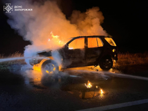 Спалахнув моторний відсік - на трасі під Запоріжжям загорілася автівка (фото)