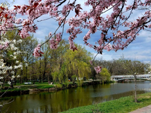 Прогноз погоди у Запоріжжі на 16-17 квітня