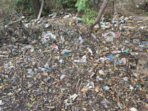 У Хортицькому районі Запоріжжя виявили незаконне сміттєзвалище