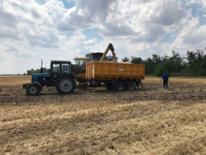 Війна, спека, сарана - як аграрії Запоріжжя борються за врожай у 2025 році