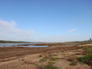 У дніпровській воді в межах Запоріжжя виявили кишкову паличку - подробиці