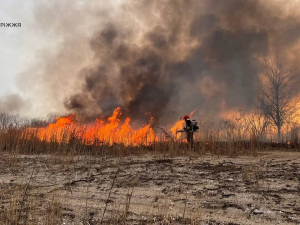 Горить очерет - у запорізьких плавнях вирує масштабна пожежа (фото, відео)