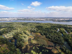 Після "відходу" води на Хортиці в плавнях з'явилася дорога - фото