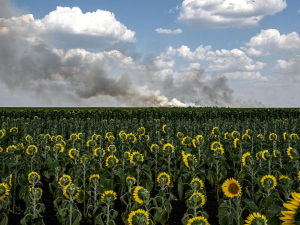 Світлина запорізького фотографа про контрасти війни стала однією з найкращих у світі в 2025 році