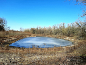 Озеро у плавнях острова Хортиця. Фото Валерія Кємєнова