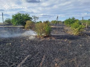 Дачі в полум’ї - на Запоріжжі під час пожежі загинула жінка (фото)