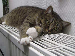 Частина житлових будинків у Запоріжжі залишається без опалення - що відомо 