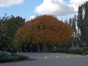Якою буде погода в останні вихідні жовтня у Запоріжжі - прогноз