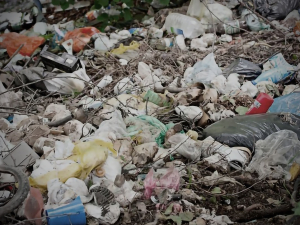 У Заводському районі виявили стихійні звалища побутових та рослинних відходів