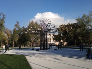 У Запоріжжі планують розбудову меморіалу «Посадка. Дерево пам’яті» - як проходило обговорення