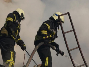 У Запоріжжі виникла пожежа на острові Хортиця