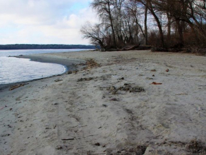 У Запоріжжі через зниження рівня води з'явився новий пляж - фото