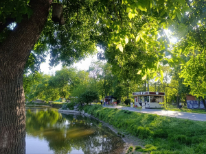 Зелень, озера, атракціони: як виглядає "Дубовий гай" у Запоріжжі наприкінці травня (фото)