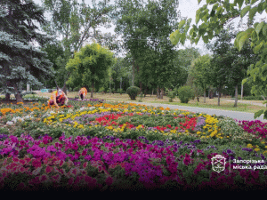 Головний парк Запоріжжя зустрічає відвідувачів доглянутими клумбами з красивими квітами - фото