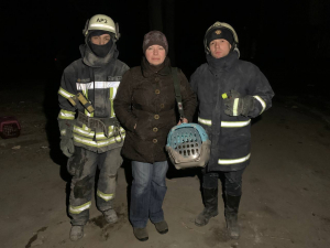 Зі зруйнованого запорізького будинку врятували трьох котиків - фото, відео