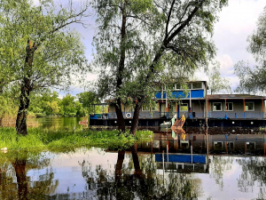 Вода прибуває: як виглядає затоплене урочище під Запоріжжям - фото