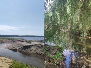 Дніпро стабілізується, а малі річки гинуть: експерт розповів про стан водойм Запоріжжя