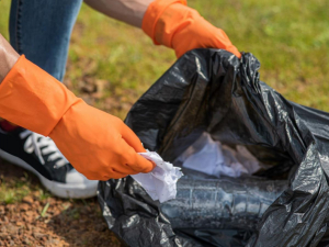 Небайдужих запоріжців запросили допомогти у збереженні історичної спадщини ти прийти на екотолоку в парк