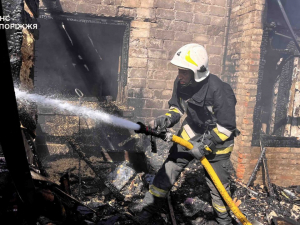 Врятували худобу - у Запоріжжі сталася пожежа у приватному секторі (фото)