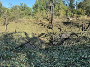 "Снаряд прилетів до нас у парк" - запорізький ботсад зачинився через значні пошкодження (фото, відео)
