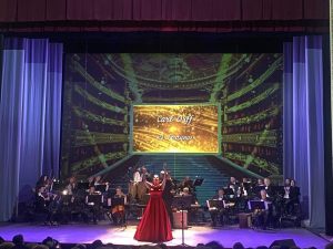 Народна артистка України Ольга Чубарева під час концерту «Vivere» у Запоріжжі. Фото: Ірина Єгорова