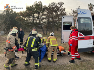 Каталася на коні та впала – у Запоріжжі рятувальники допомогли дівчині