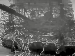 "За Тернопіль та Запоріжжя!" - на Запорізькому напрямку бійці 118-ї ОМБР знищили колону техніки окупантів (відео)