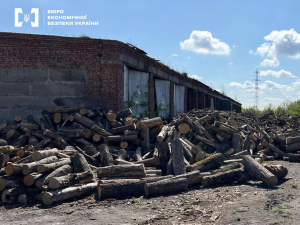 Переплатили 20 мільйонів за дрова для ЗСУ – у Запорізькій області підозрюють посадовця у недбалості 