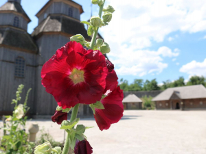 Як комплекс "Запорозька Січ" працює під час повномасштабної війни - фоторепортаж