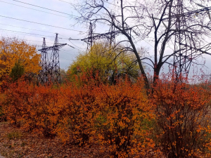 Тепло й без дощу - прогноз погоди у Запоріжжі на 6–7 листопада