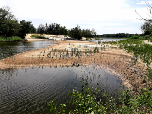 Втрата води та шкода землі – підсумки першої річниці підриву Каховської ГЕС для Запоріжжя