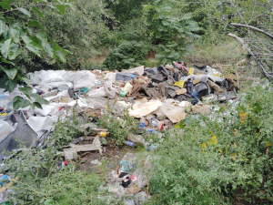 Деревина та бите скло - в  Запоріжжі виявили величезне  стихійне сміттєзвалище (фото)