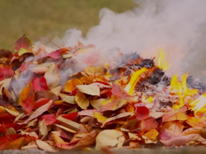 Порушив закон на власному подвір’ї — у Запоріжжі чоловік отримав адмінпротокол (фото)