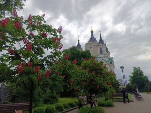Від народних зборів до базару - історія площі, що стала серцем старого Олександрівська