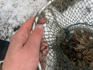 Ловив раків під час заборони: у Запорізькому районі викрили браконьєра (фото)