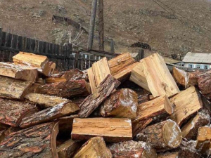 Мобілізовані буряти в Запорізькій області попросили дрова для родичів