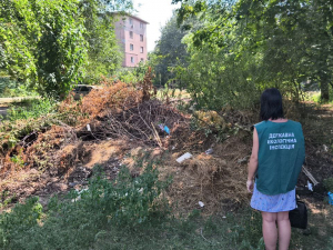 У центрі Запоріжжя біля багатоповерхівки виявили стихійне сміттєзвалище (фото)