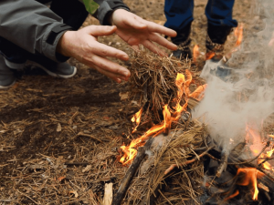 Бережіть природу від пожеж: запорізькі рятувальники звернулися до відпочивальників (відео)