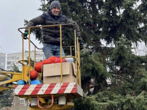 У запорізькому сквері прикрасили ялинку до новорічних свят - фото, відео