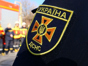 Злякався вибухів і заліз до вентиляції - у Запоріжжі визволили з пастки вусаня (фото)