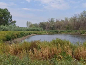 Останнє озеро Хортиці може зникнути – запорізький фотограф зафіксував тривожні ознаки (фото, відео)