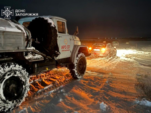 У снігу застрягли автівки та швидкі — на Запоріжжі рятувальники витягли десятки машин (фото)