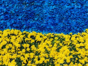 Культурний фронт: які заходи можна відвідати у Запоріжжі до Дня Незалежності 